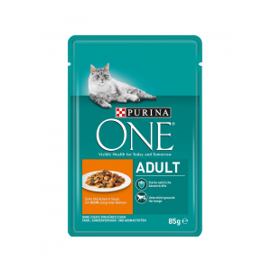 ONE КОТКА 0.085 ADULT ПИЛЕ