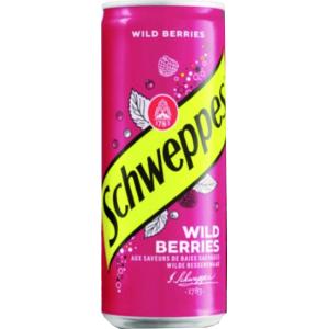 ШВЕПС 0.330 ГОРСКИ ПЛОД КЕН