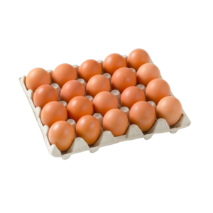 ЯЙЦА КОРА XL