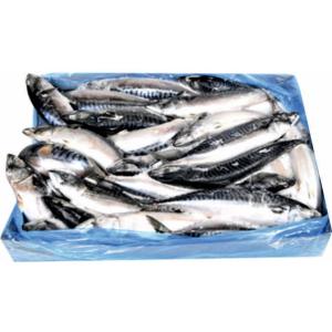 ВИВЕКТА СКУМРИЯ ЦЯЛА 300/500 400/600 ПАКЕТ