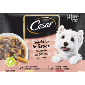 ЦЕЗАР ПАУЧ СЕЛЕКЦИЯ 4х0.100 ПИЛЕ И ГОВЕЖДО В СОС 1Х13