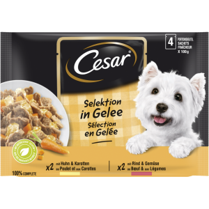 ЦЕЗАР ПАУЧ СЕЛЕКЦИЯ 4х0.100 ПИЛЕ И ГОВЕЖДО В ЖЕЛЕ 1Х13