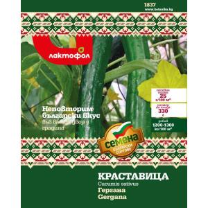 Български семена Краставица Гергана - 2 гр.
