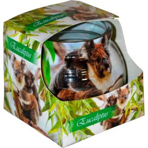 АРОМАТНА СВЕЩ ЧАША 0.085 ЕВКАЛИПТ