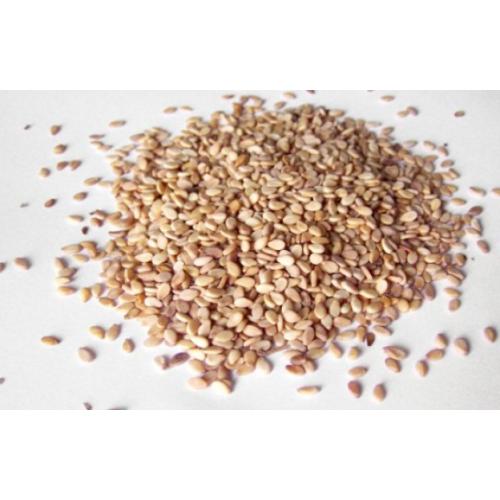 ШИДЕРОВ СУСАМ - 25кг чувал