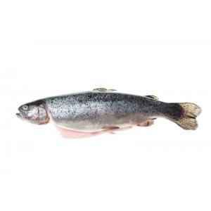 ПЪСТЪРВА ЧИСТЕНА БЛОК 200-250