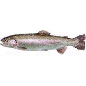 МИЧИК ПЪСТЪРВА БЛОК ЗАМРАЗЕНА 400-600