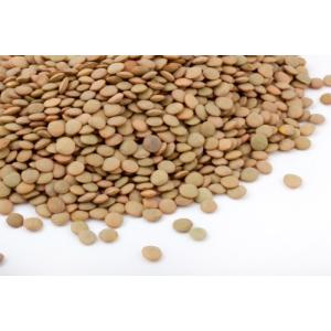 ФИОРЕ ЛЕЩА НАСИПНА